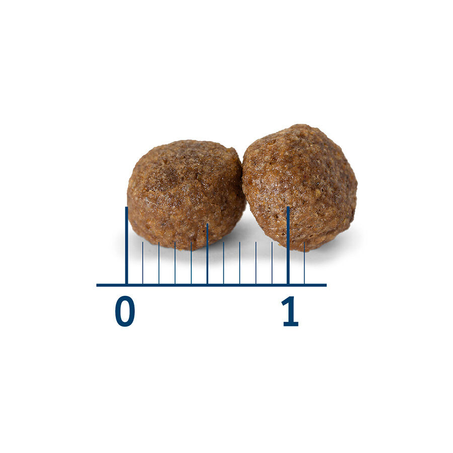 12 kg Nath Puppy Medium Maxi Pollo Pienso para Perros, , large Imagen numero 3