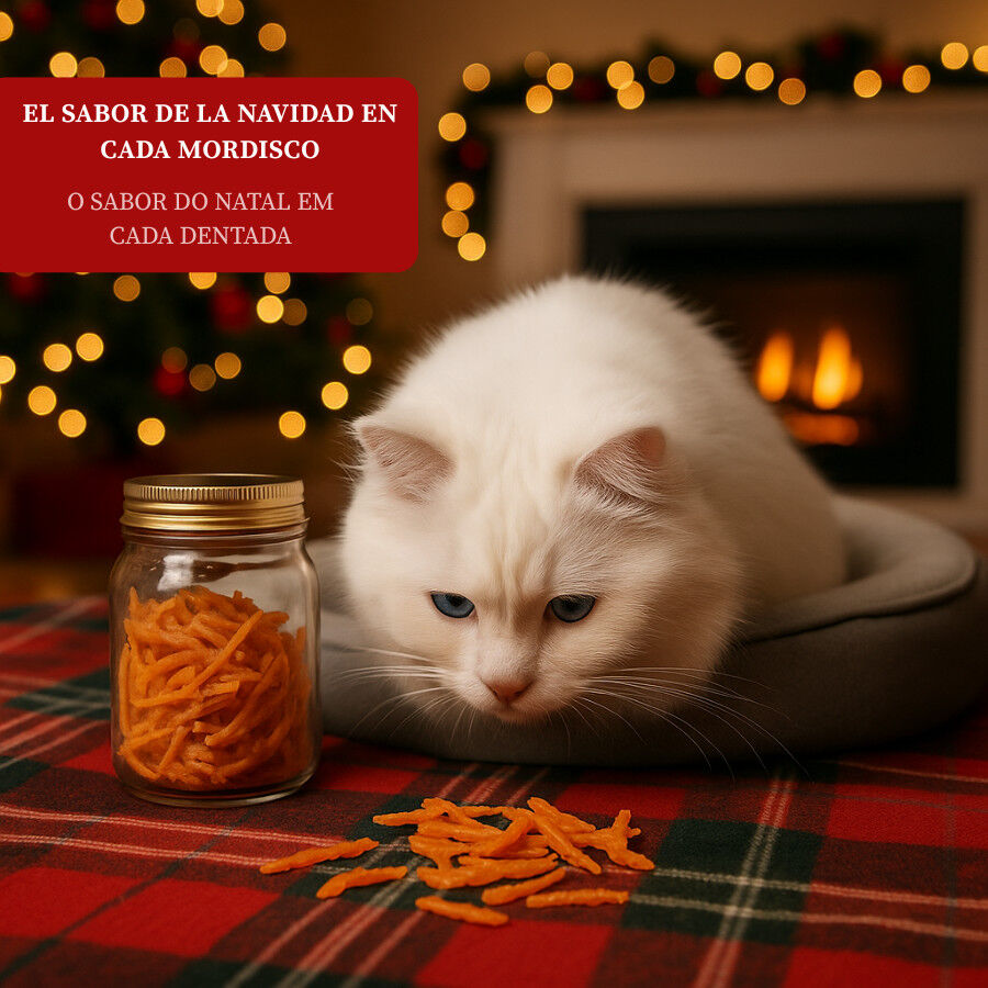50 g Wonder Christmas Snack Navide&ntilde;o para gatos, , large Imagen numero 4