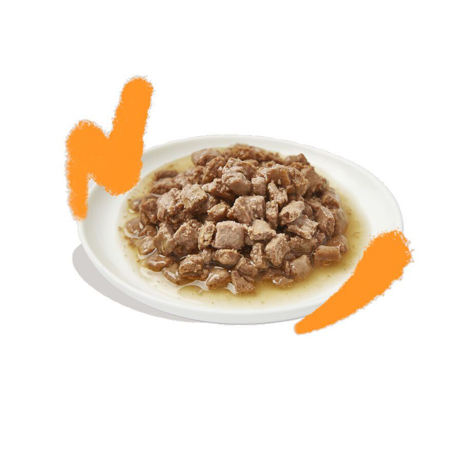 85 g Edgard & Cooper Filetes de At&uacute;n y Pollo lata para gatos, , large Imagen numero 2