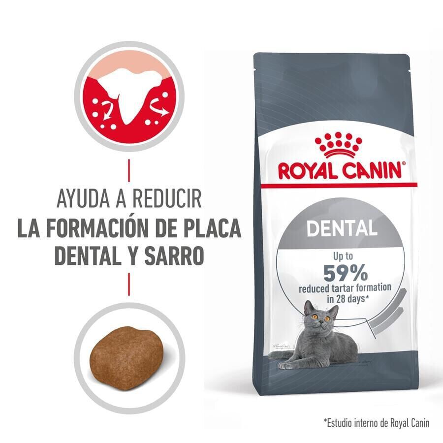 8 kg Royal Canin Adult Oral pienso para gatos, , large Imagen numero 2