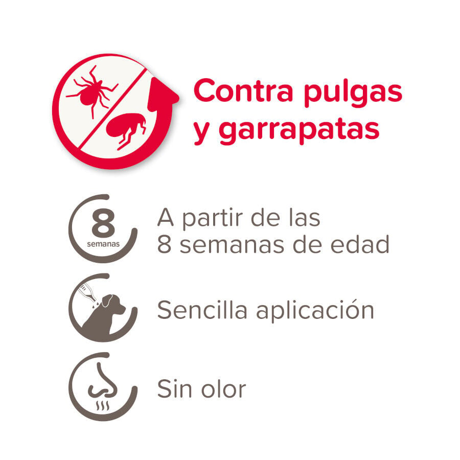 Beaphar FiproTec Pipetas para perros, , large Imagen numero 4