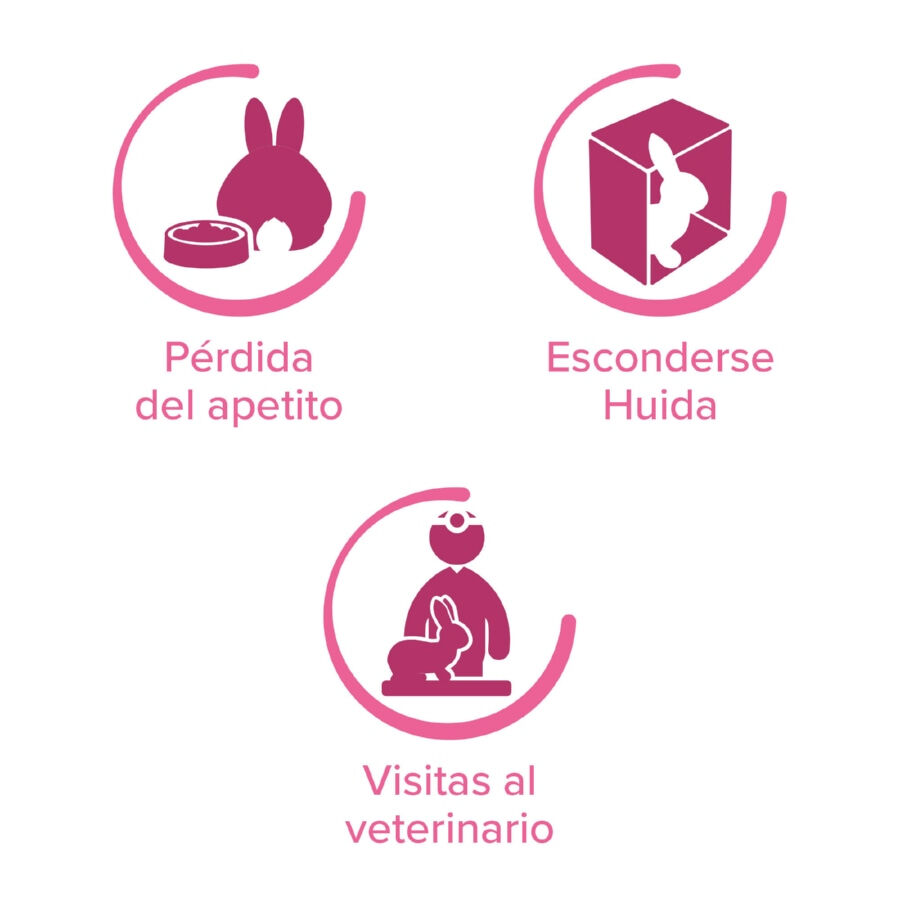 Beaphar RabbitComfort Spray Tranquilizante para conejos, , large indicador imagen numero 4