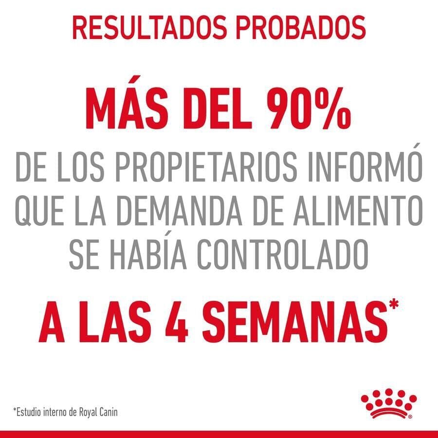 85 g Royal Canin Appetite Control Care salsa sobre para gatos, , large indicador imagen numero 9