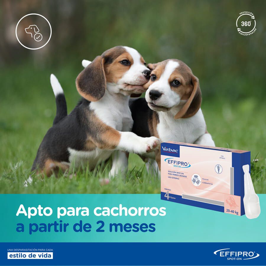 Effipro pipetas antipar&aacute;sitos perros 40-60 kg, , large Imagen numero 4