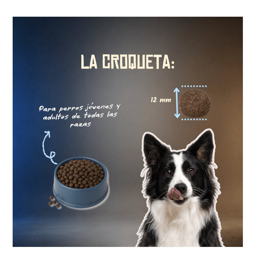 10 kg Lenda Grain Free Pescado y Krill pienso para perros, , large Imagen numero 6