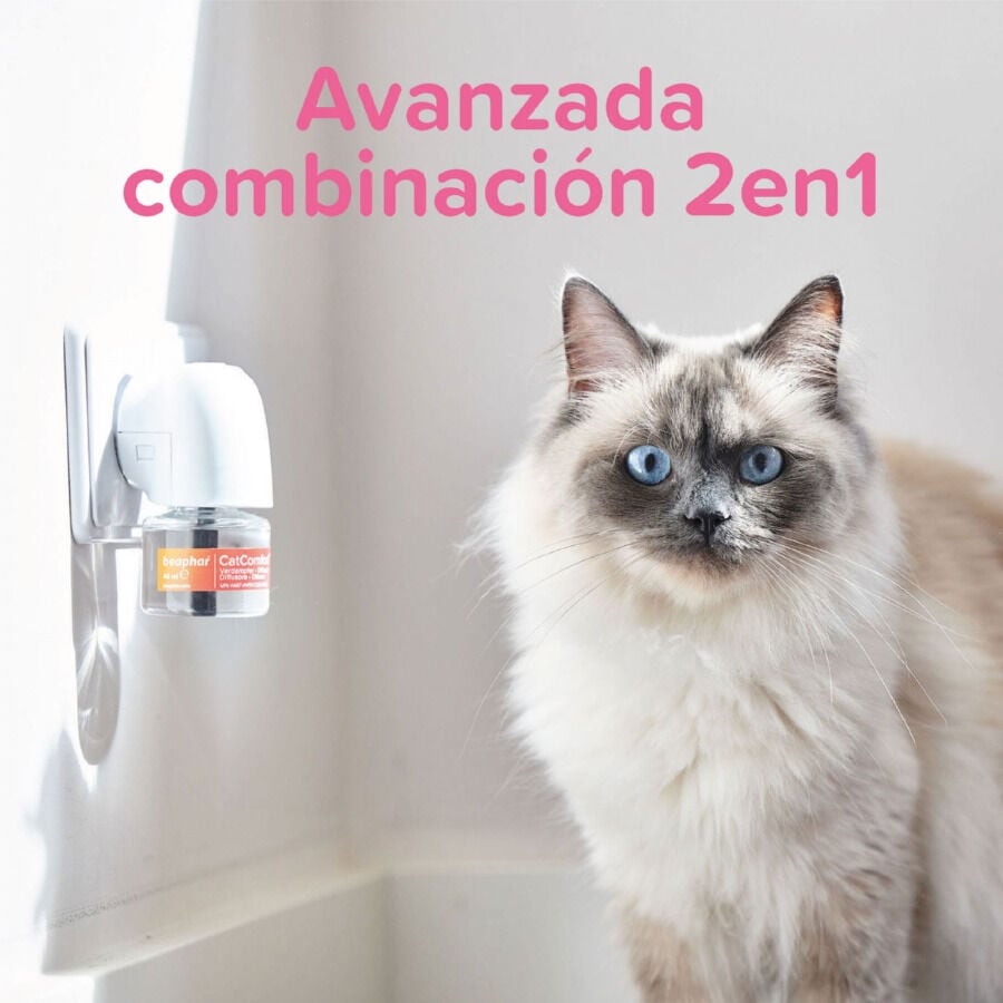 Beaphar CatComfort Excellence Difusor de Feromonas para gatos, , large Imagen numero 5