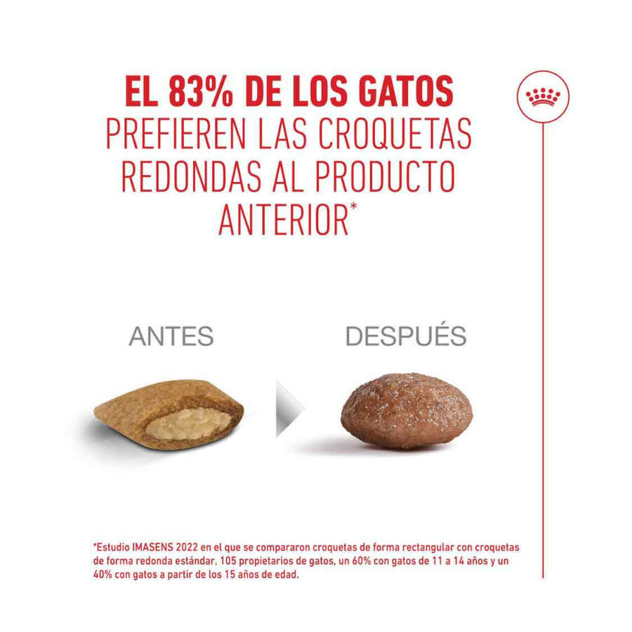 2 kg Royal Canin Ageing 11+ Sterilised pienso para gatos&nbsp;senior, , large indicador imagen numero 11