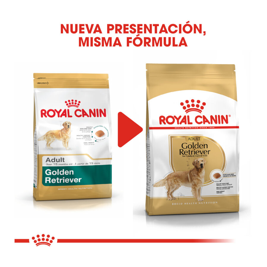 12 kg Royal Canin Adult Golden Retriever pienso para perros, , large Imagen numero 3