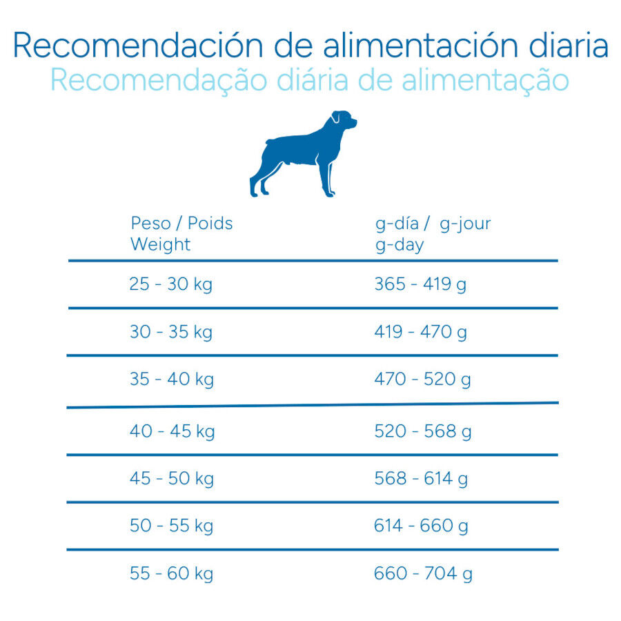 12 kg Criadores Cient&iacute;fico Adulto Maxi Pienso Pollo para perros, , large Imagen numero 9
