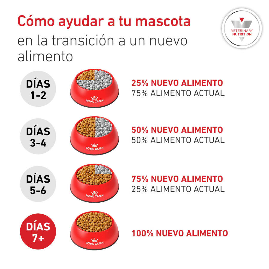 12 kg Royal Canin Veterinary Diabetic pienso para perros, , large indicador imagen numero 8