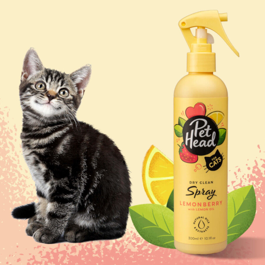 Pet Head colonia desodorante de fresa/lim&oacute;n para gatos, , large indicador imagen numero 2