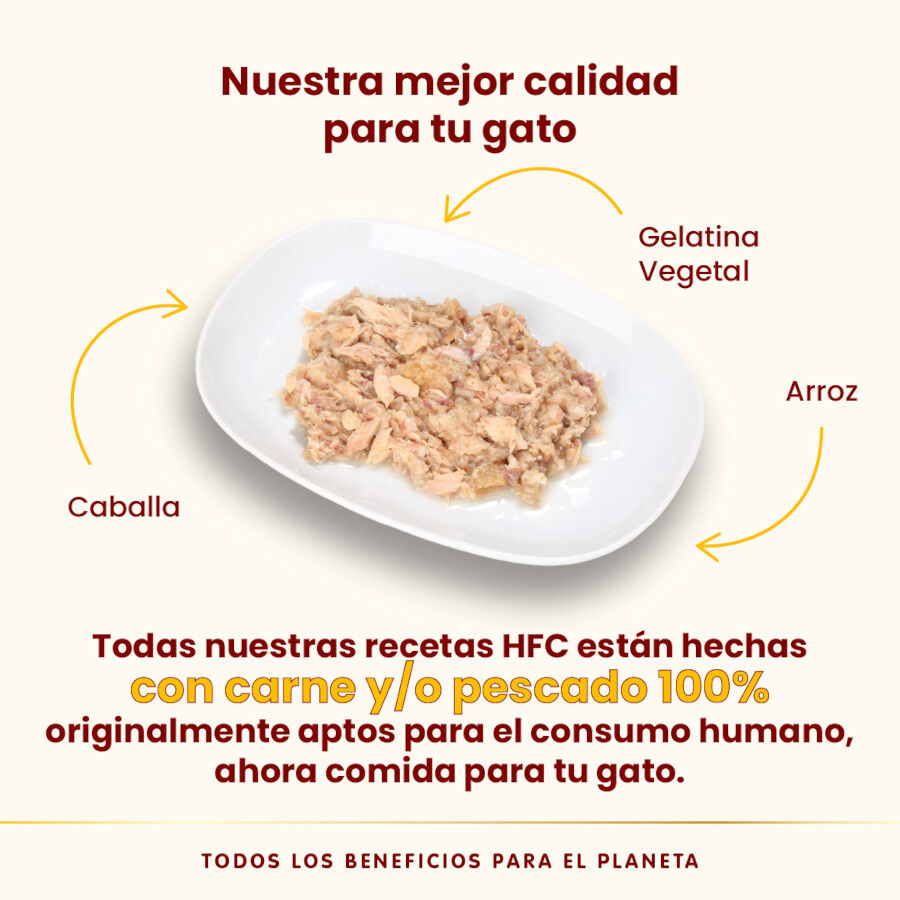 70 g Almo Nature HFC caballa lata en gelatina para gatos , , large indicador imagen numero 3