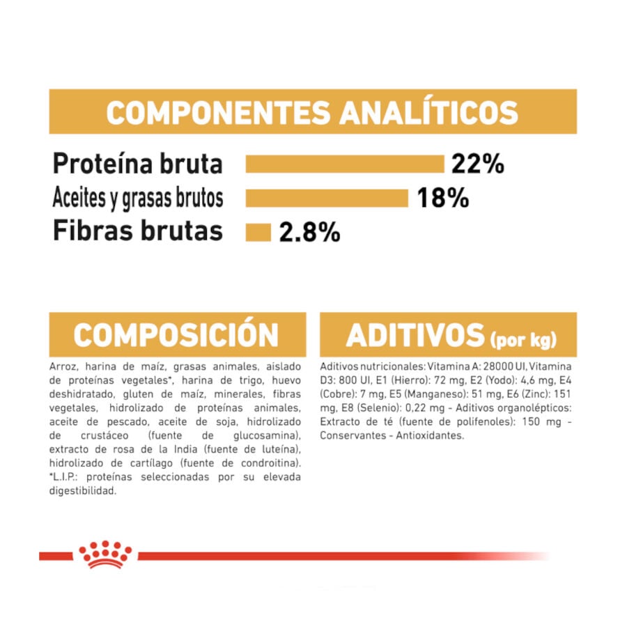 12 kg Royal Canin Adult D&aacute;lmata pienso para perros, , large Imagen numero 7