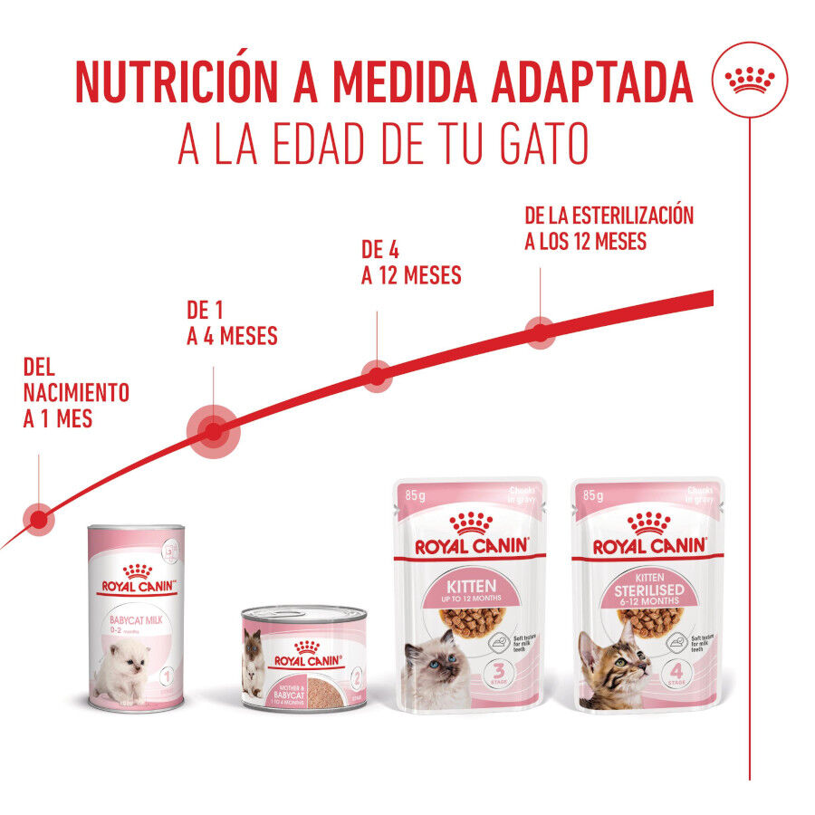 195 g Royal Canin Mother & Baby mousse latas para gatos, , large Imagen numero 6