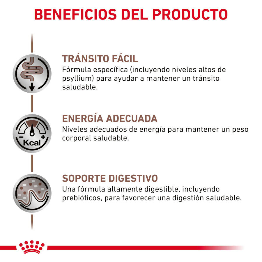 12 sobres x 85 g Royal Canin Gastrointestinal Fibre Response L&aacute;minas en Salsa Sobre para gatos, , large indicador imagen numero 4