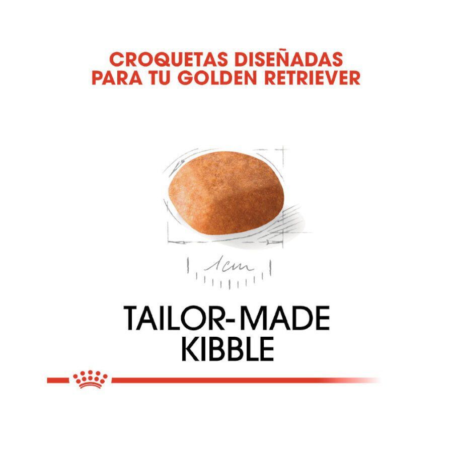 12 kg Royal Canin Puppy Golden Retriever pienso para perros, , large indicador imagen numero 5