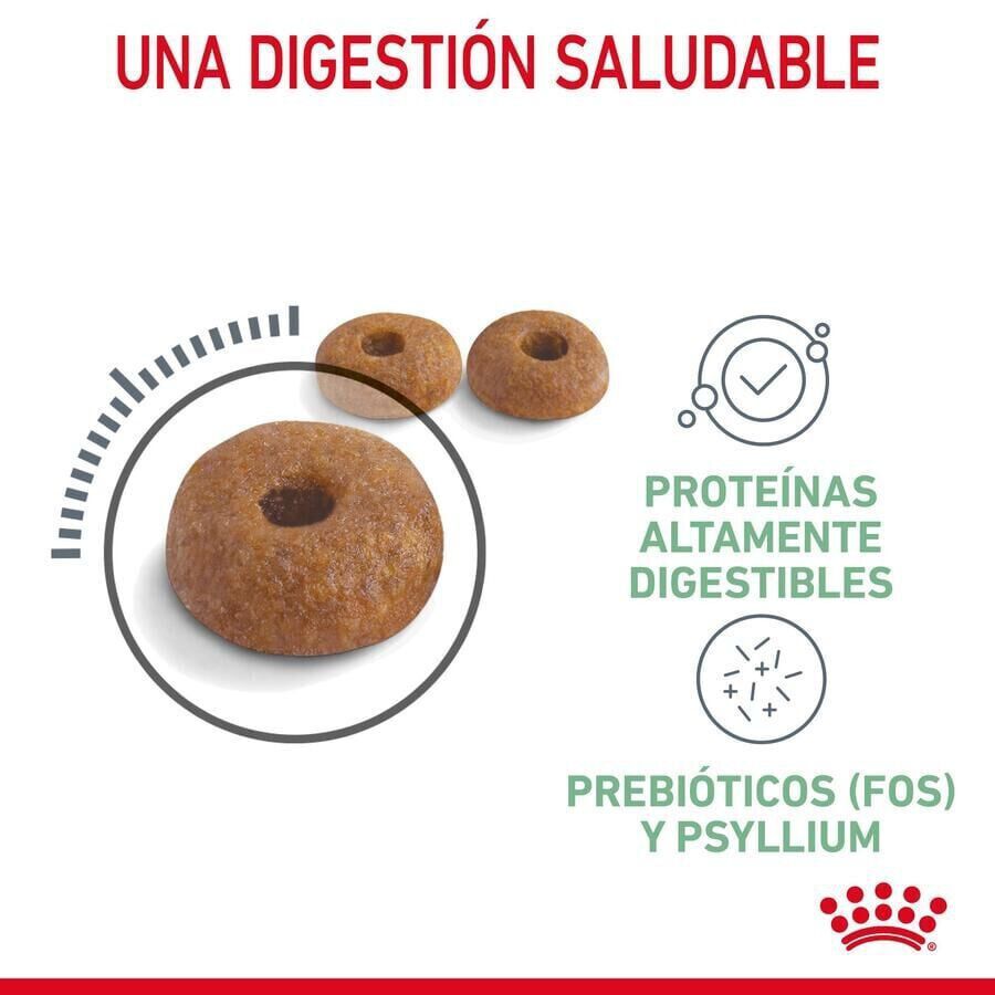 10 kg Royal Canin Adult Digestive pienso para gatos, , large indicador imagen numero 3