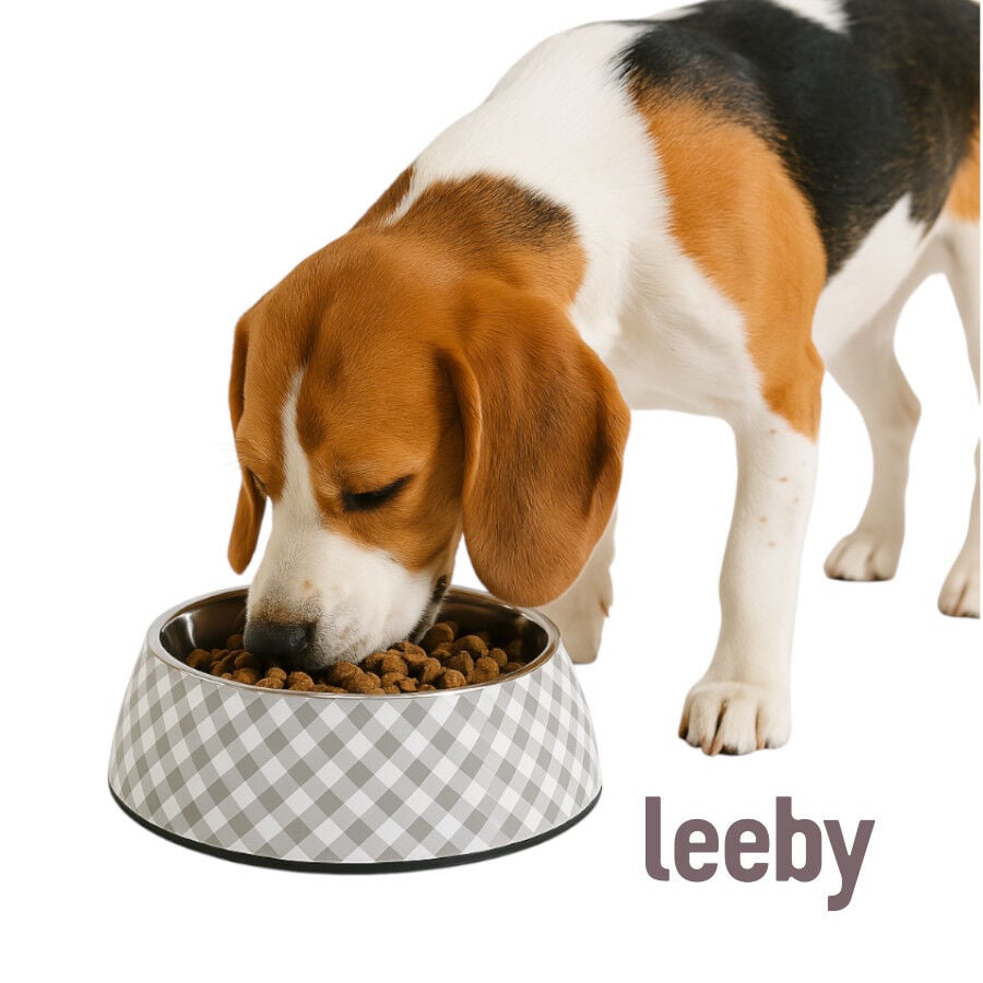 Leeby comedero acero inoxidable vichy para perros, , large Imagen numero 2