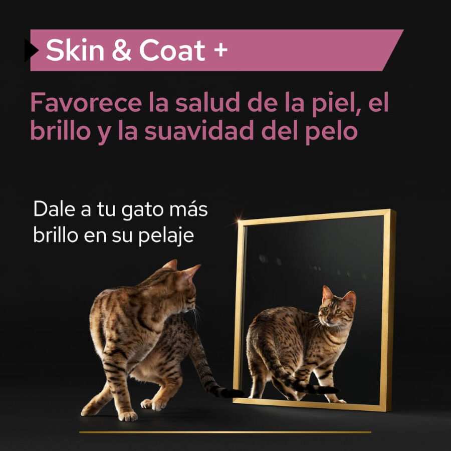 150 ml Pro Plan Skin & Coat + Aceite de Salm&oacute;n Noruego para gatos, , large indicador imagen numero 2