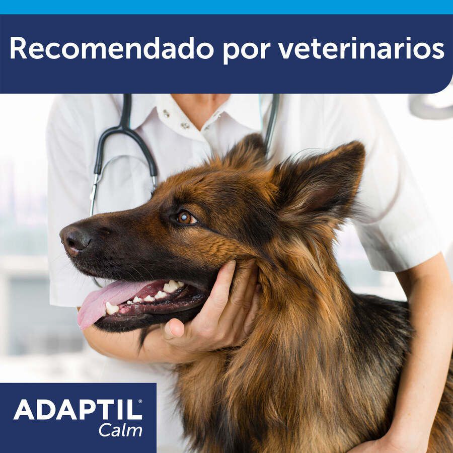 Adaptil Collar Tranquilizante para perros, , large Imagen numero 7