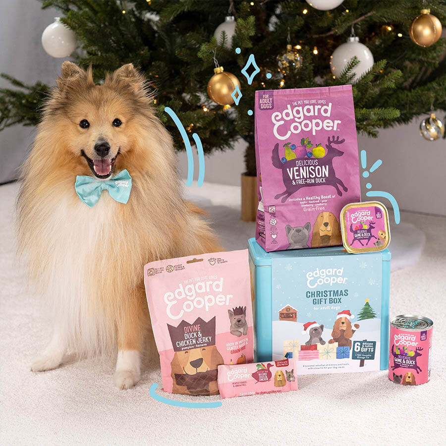 1 ud. Edgard & Cooper Kit de Navidad con comida, contenedor y pajarita para perros, , large indicador imagen numero 2