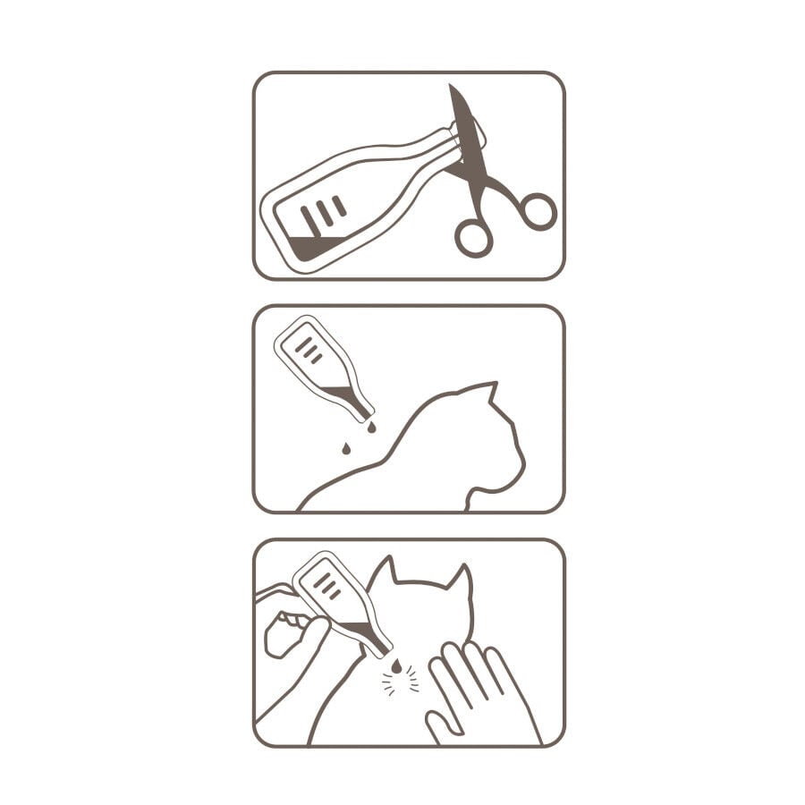 Beaphar Fiprotec Pipetas Antiparasitarias para gatos, , large Imagen numero 6