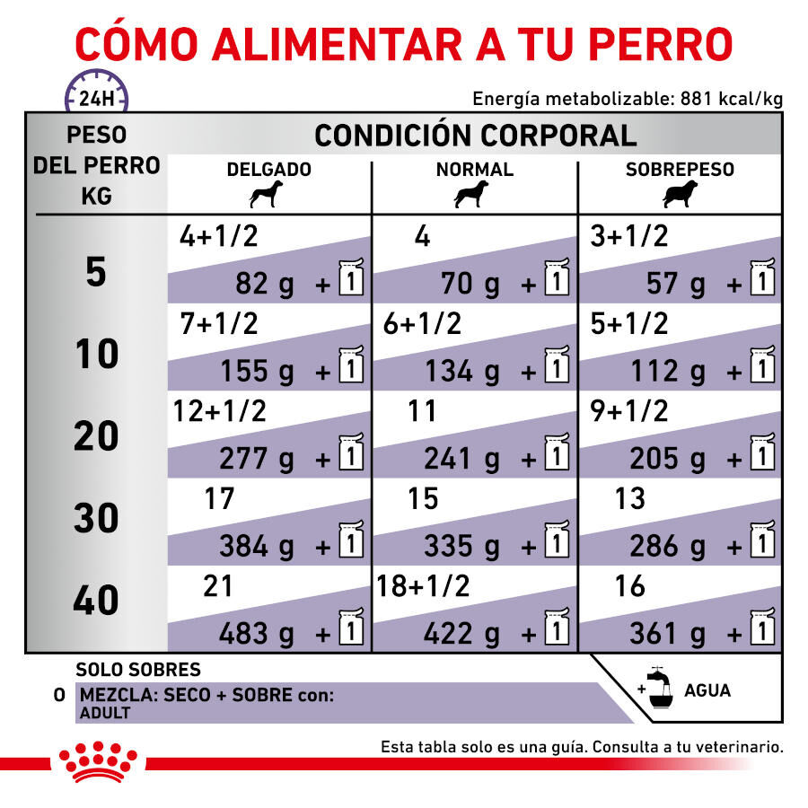 12 sobres x 100 g Royal Canin Expert Adult Sobre en Salsa para perros, , large indicador imagen numero 3