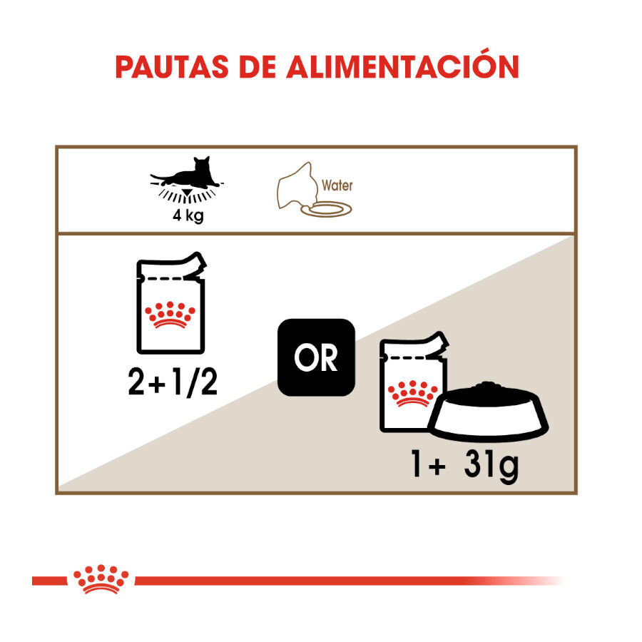 85 g Royal Canin Ageing 12+ gelatina sobres para gatos&nbsp;senior, , large Imagen numero 8
