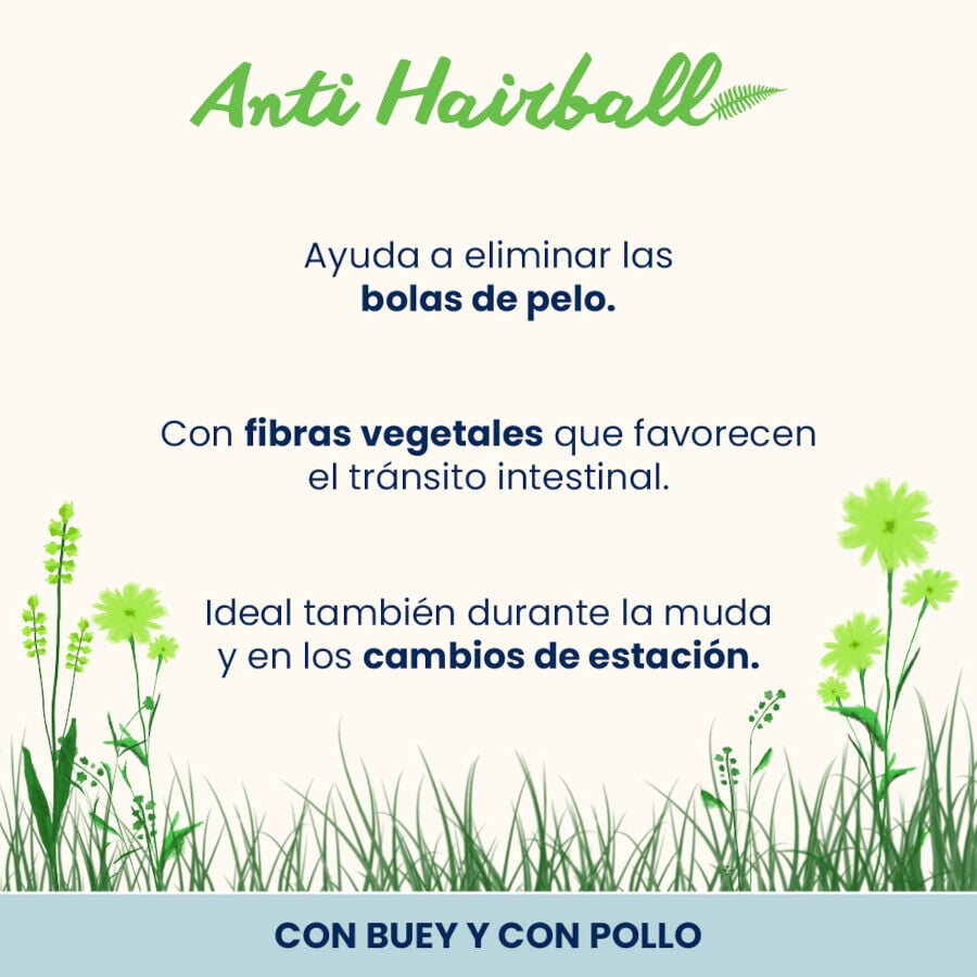 6 sobres x 70 g Almo Nature Anti Hairball Buey y Pollo sobre para gatos &ndash; Multipack, , large Imagen numero 2