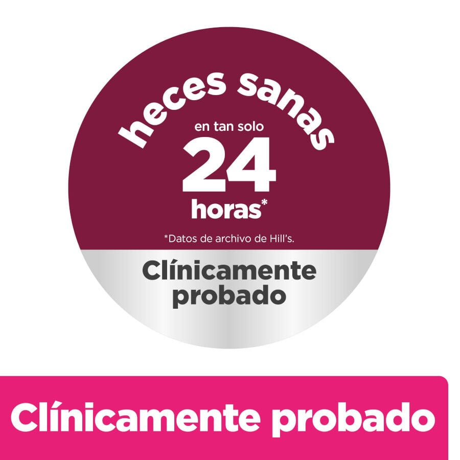 6 kg Hill's Prescription Diet Gastrointestinal Biome Mini pienso para perros, , large indicador imagen numero 3