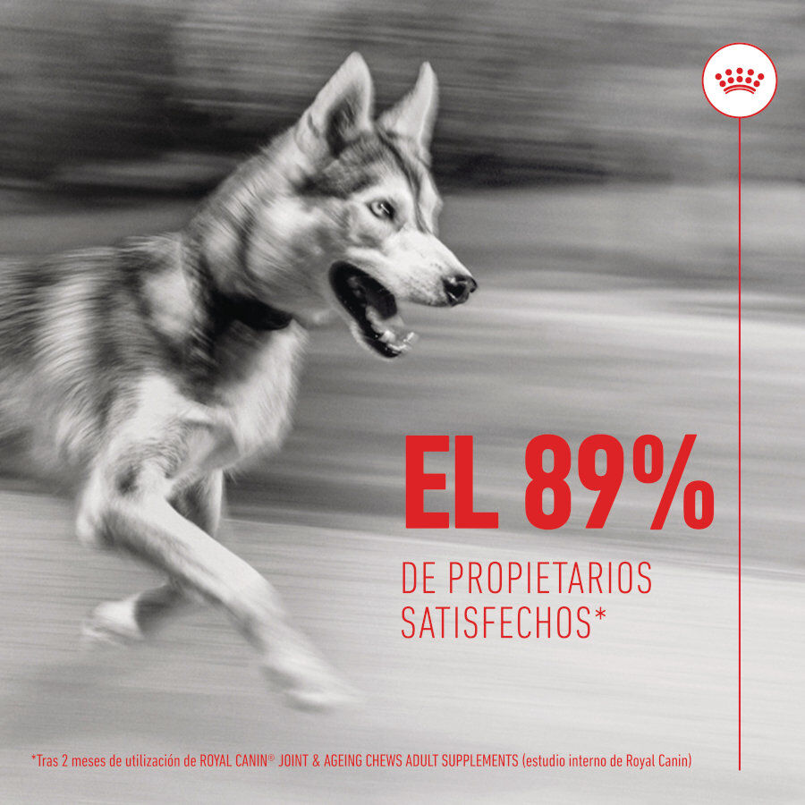 240 g Royal Canin Joint & Ageing Chews Suplemento Nutricional para perros senior, , large Imagen numero 4