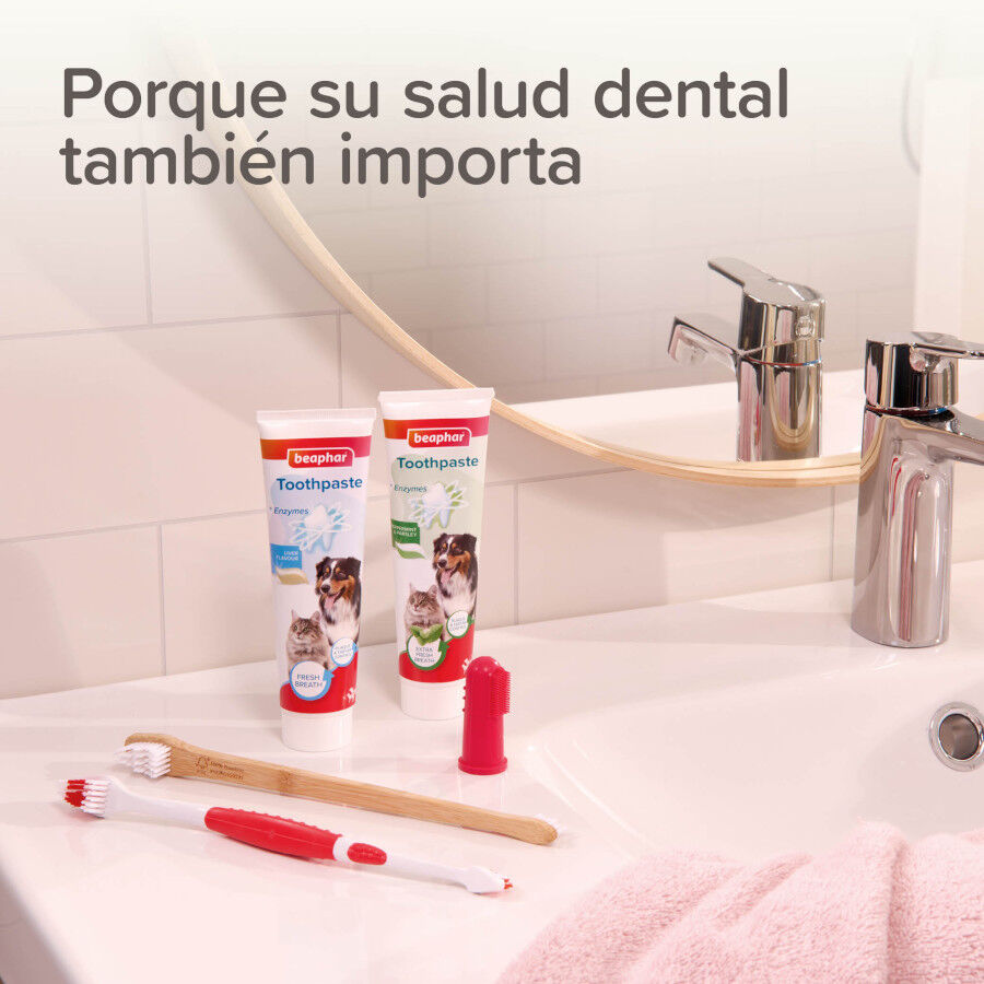 Beaphar Cepillo Dental de Bamb&uacute; para Perros y Gatos, , large Imagen numero 4