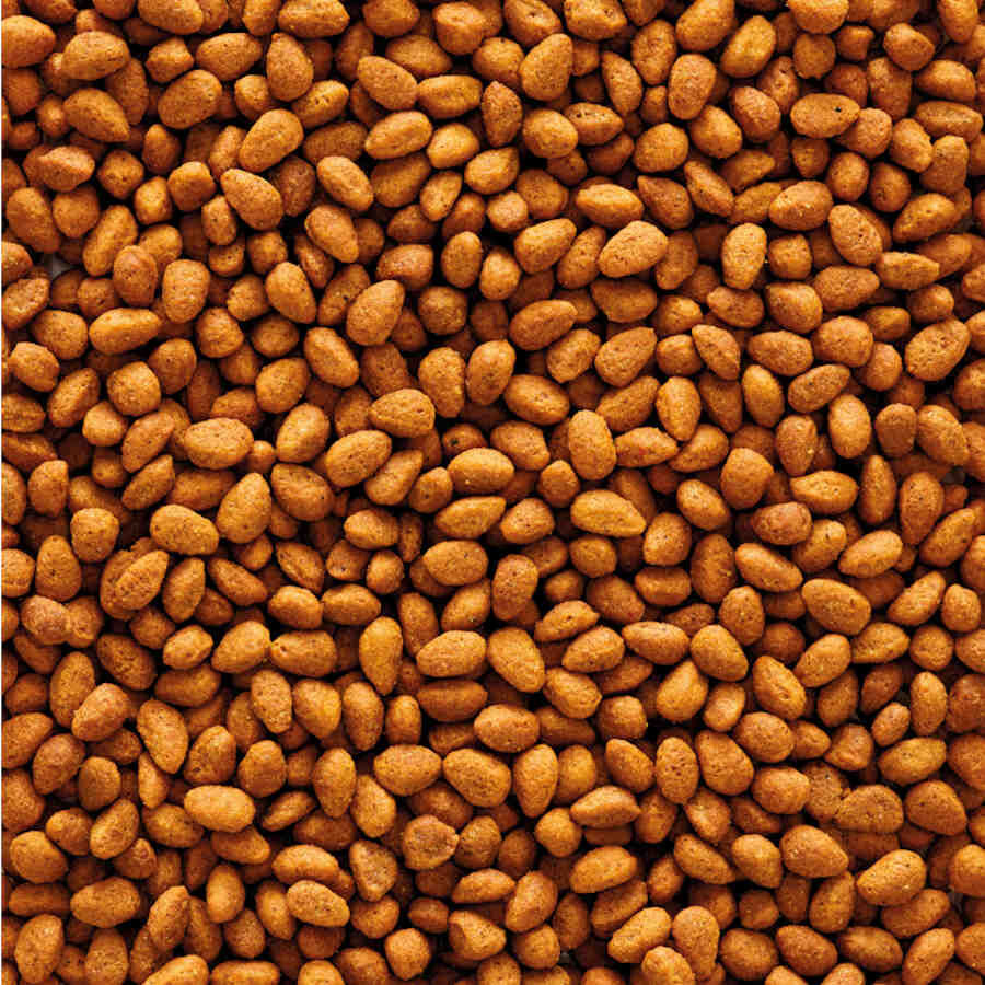 Versele-Laga NutriBird G14 Original Alimento para p&aacute;jaros, , large Imagen numero 2