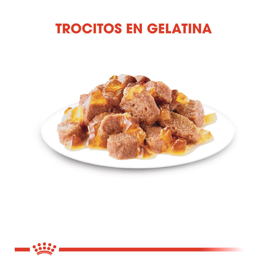 85 g Royal Canin Ultra Light gelatina sobre para gatos, , large Imagen numero 3