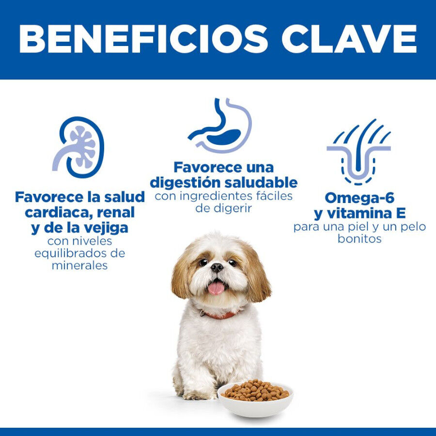 6 kg Hill's Science Plan Mature Adult Small y Mini pollo pienso para perros, , large Imagen numero 5