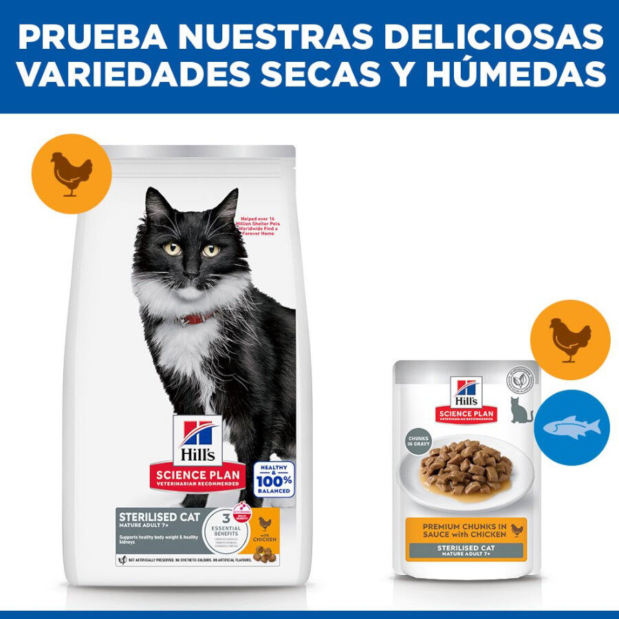 1.5 kg Hill's Science Plan Sterilised Mature Adult Pollo pienso para gatos, , large indicador imagen numero 8