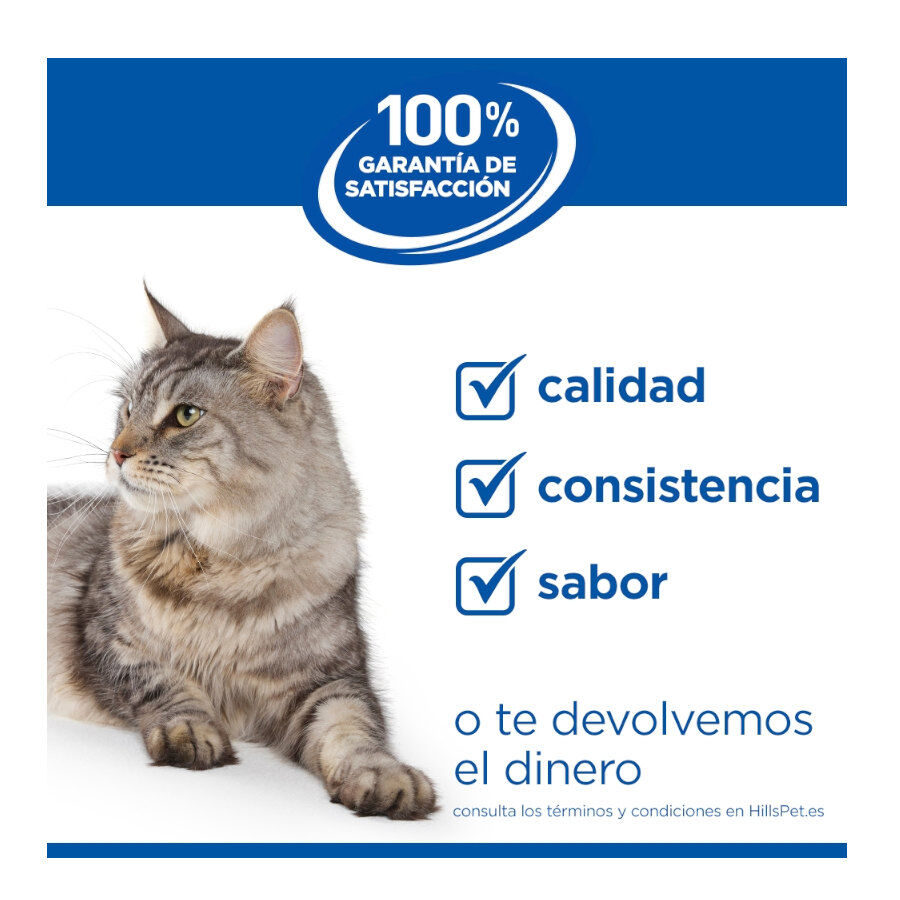 85 g Hill's Science Plan Kitten Pescado Azul sobre para gatos, , large Imagen numero 7