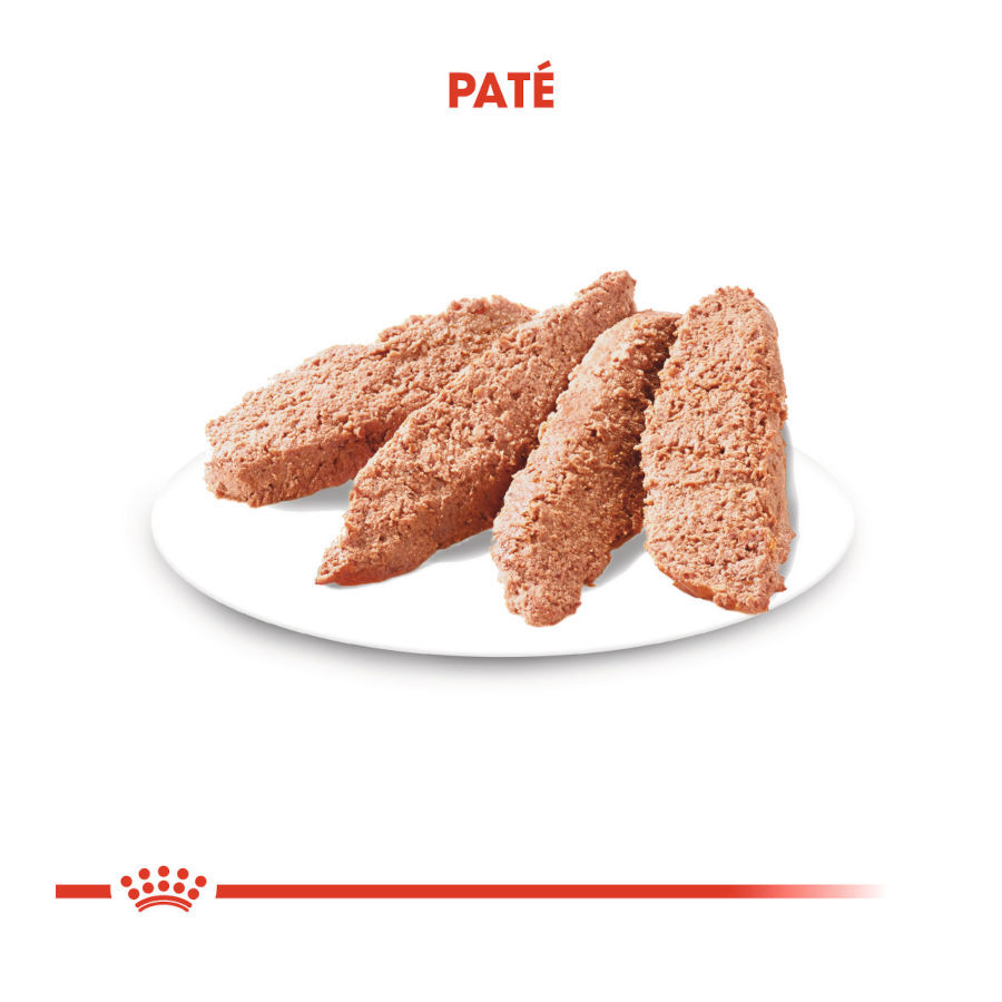 85 g Royal Canin Dermacomfort Sobres Pat&eacute; para perros, , large Imagen numero 3