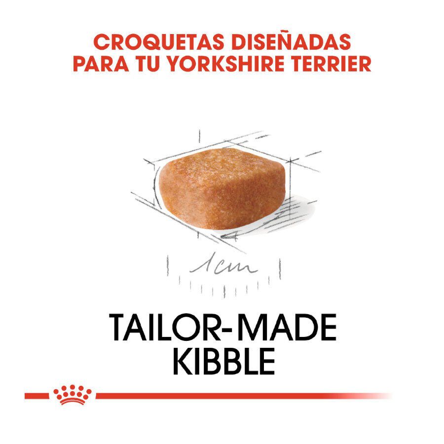 7.5 kg Royal Canin Puppy Yorkshire Terrier pienso para perros, , large indicador imagen numero 4
