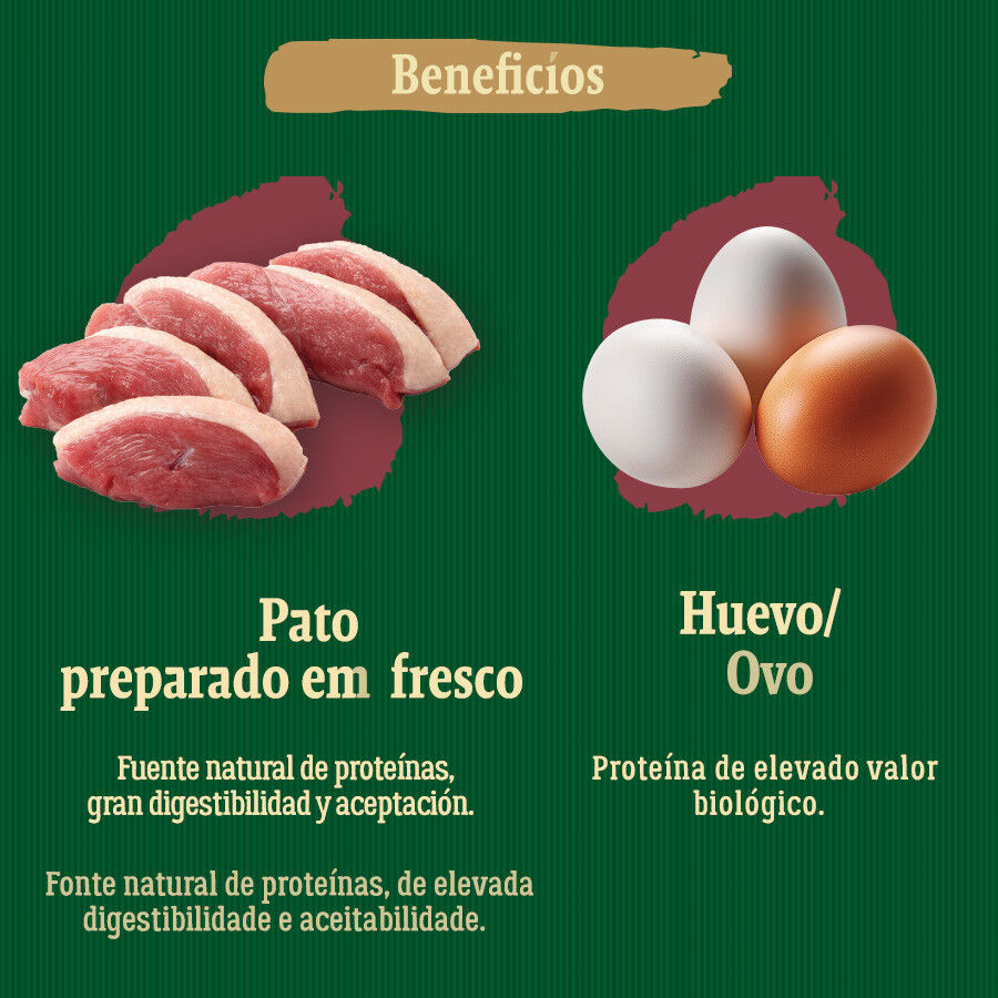True Origins Wild Mini Lagoon Pato pienso para perros, , large indicador imagen numero 5