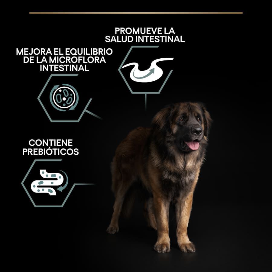 14 kg Pro Plan Adult Large Robust Digesti&oacute;n Cordero pienso para perros, , large indicador imagen numero 3