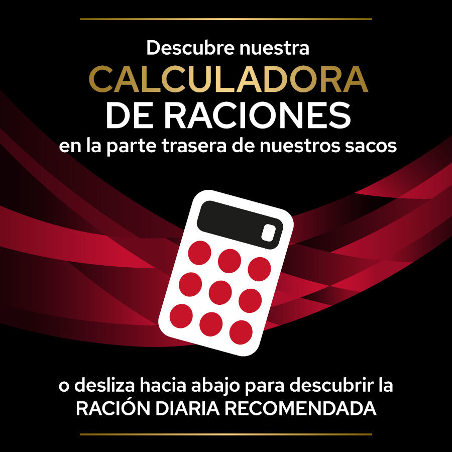 3 kg Pro Plan Veterinary Diets CC Cardiocare pienso para perros, , large indicador imagen numero 7