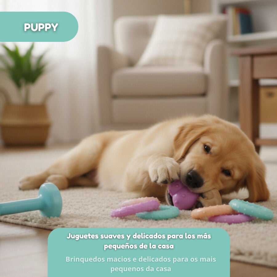 Tootoy! Pack de Mordedores para cachorros, , large indicador imagen numero 5