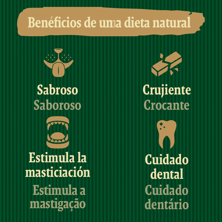 20 cm (2 uds.) True Origins Nervio Toro Snack para perros, , large Imagen numero 5