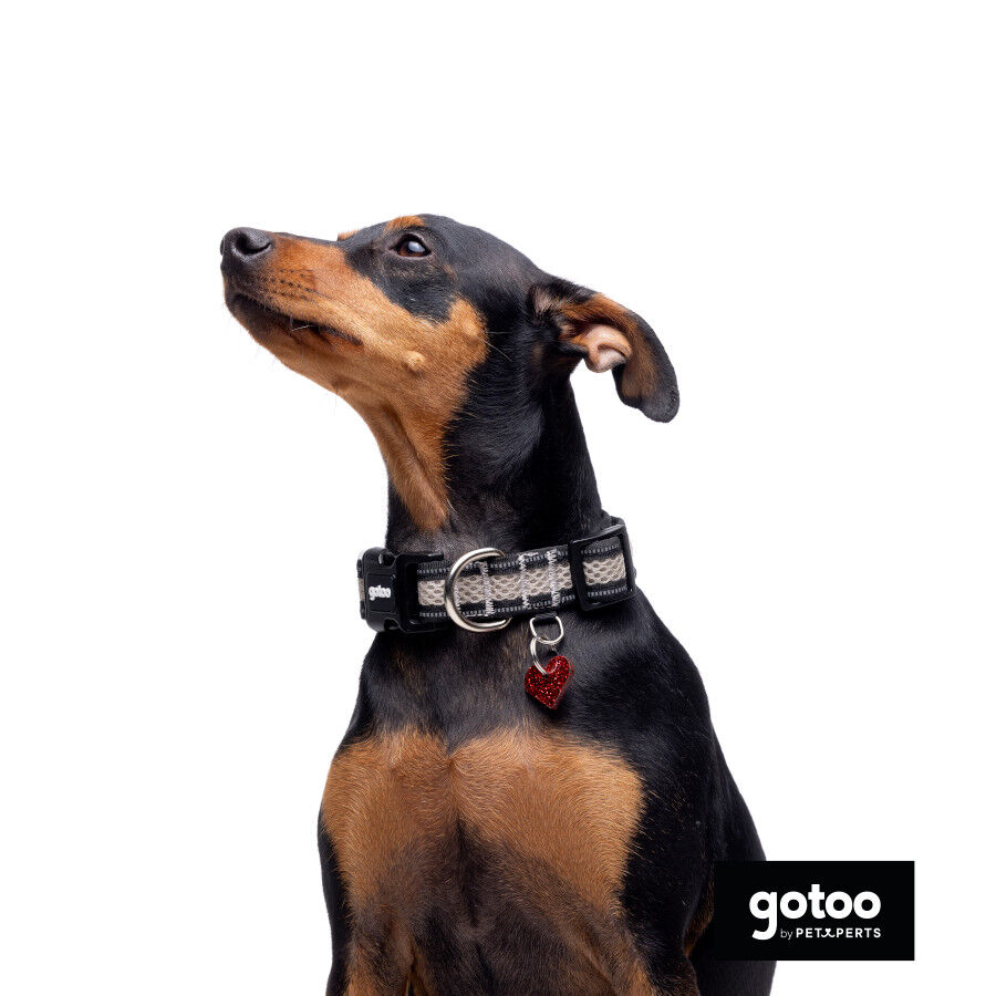 Gotoo Collar de malla transpirable gris para perros, , large indicador imagen numero 6
