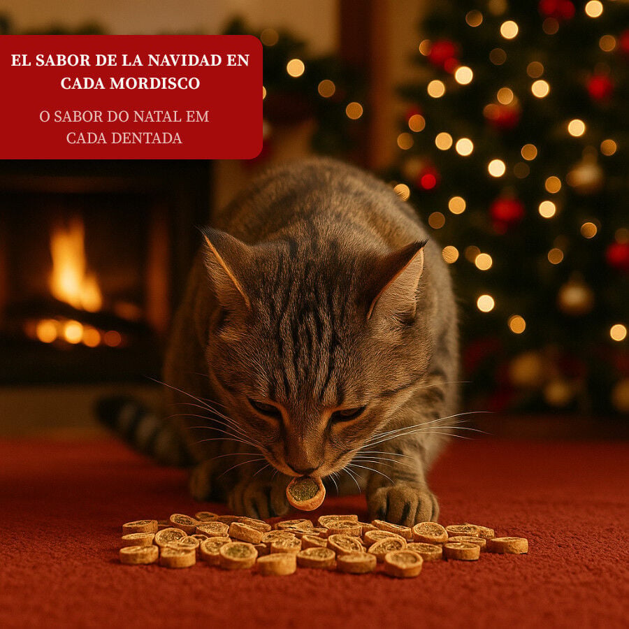 50 g Wonder Christmas Caja de Bocaditos Navide&ntilde;os para gatos, , large indicador imagen numero 4