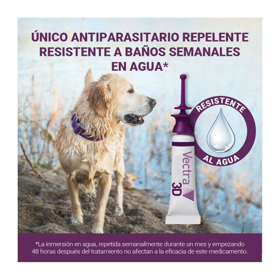Vectra 3D Pipetas Antiparasitarias para perros, , large Imagen numero 10