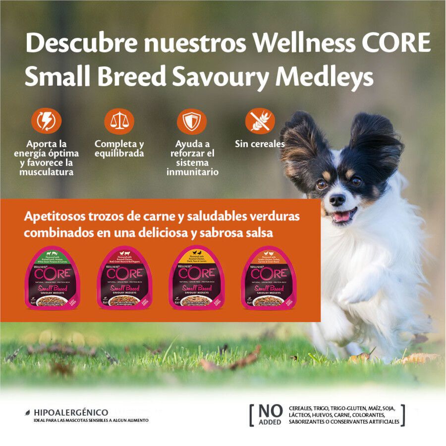 85 g Wellness Core Small Breed Grain Free Pollo y Pato tarrina para perros, , large Imagen numero 3