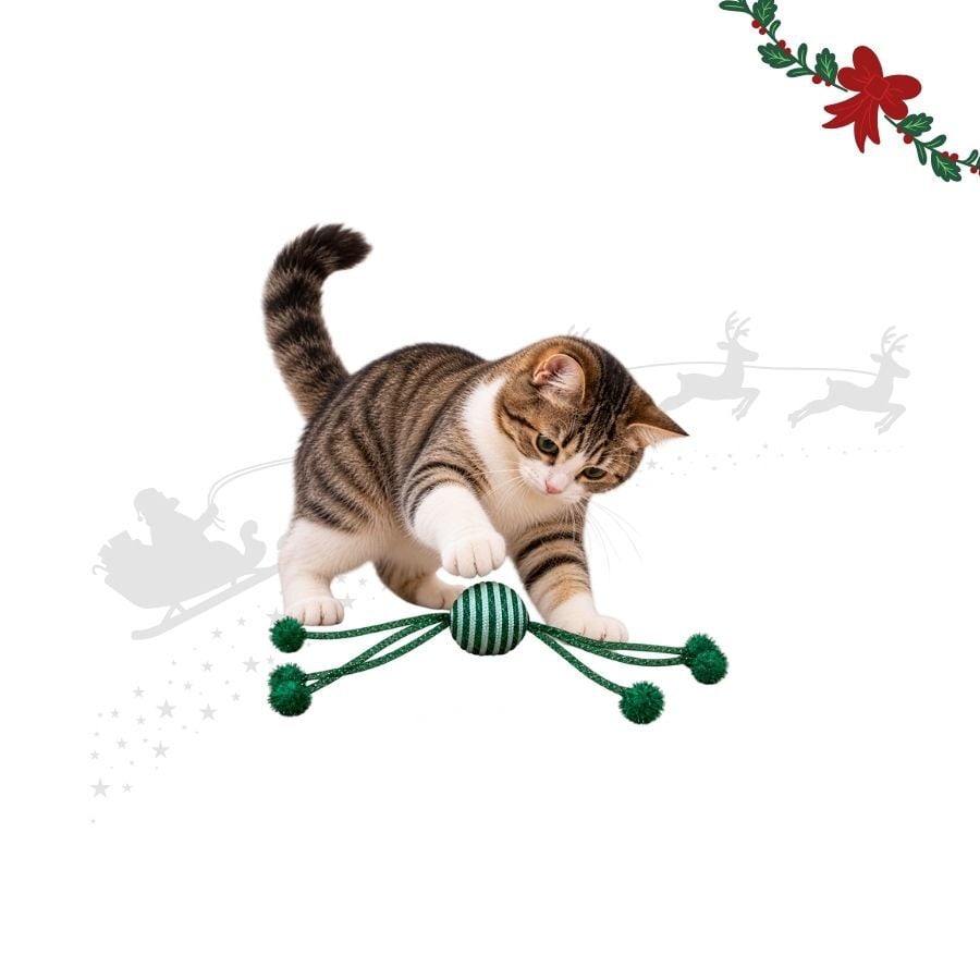 Wonder Christmas Pelota Brillante con Cuerda Juguete para gatos, , large Imagen numero 1