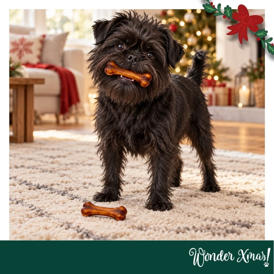 Wonder Christmas D&uacute;o Huesos Piel Prensada Snacks para perros